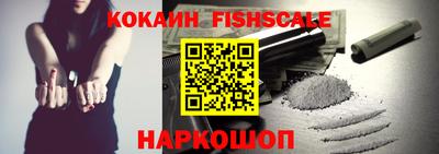 индика Камышлов