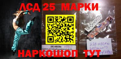 индика Камышлов
