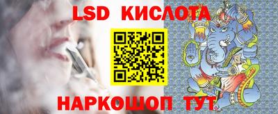 индика Камышлов
