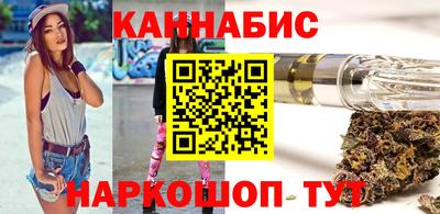 индика Камышлов