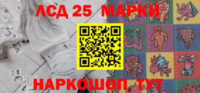 индика Камышлов