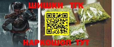 индика Камышлов