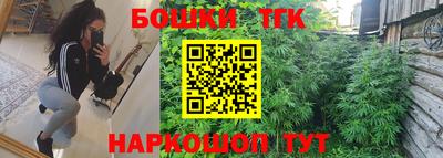 индика Камышлов