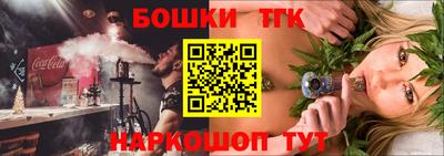 индика Камышлов