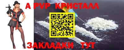 индика Камышлов