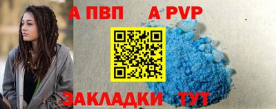 индика Камышлов