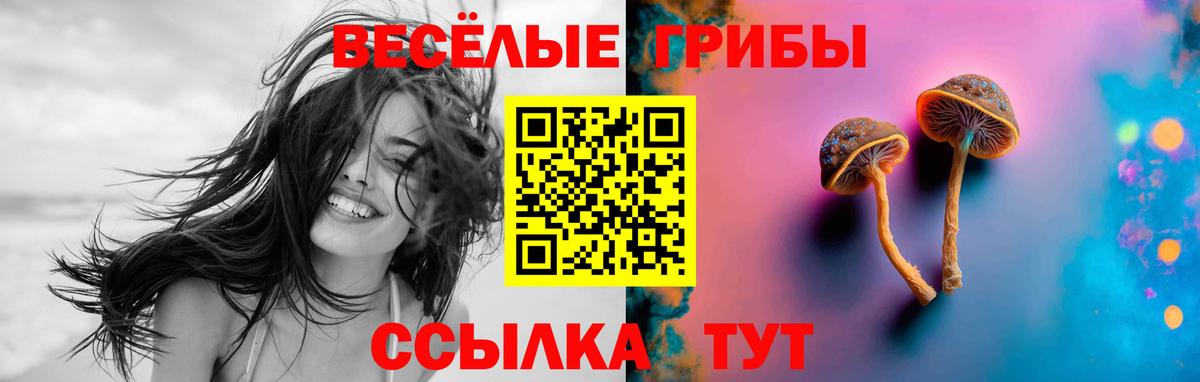 Галлюциногенные грибы Cubensis  Вход с VPN  Лысьва  Псилоцибиновые грибы GOLDEN TEACHER 